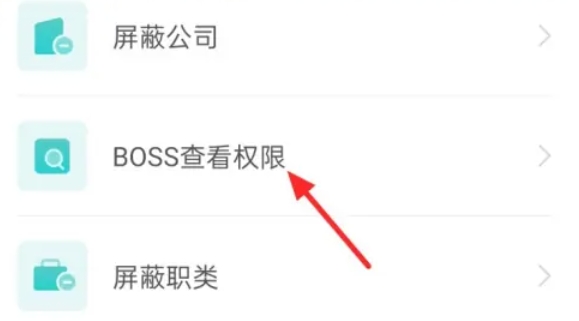 boss,boss最新下载