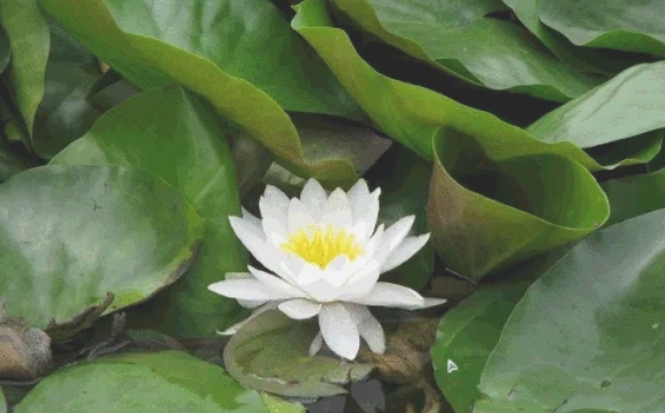 wps office,wps office最新下载