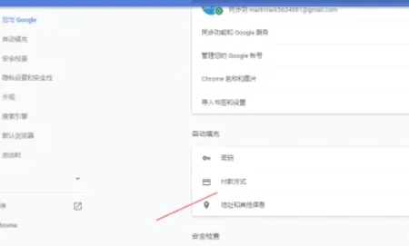 谷歌浏览器,谷歌浏览器最新下载
