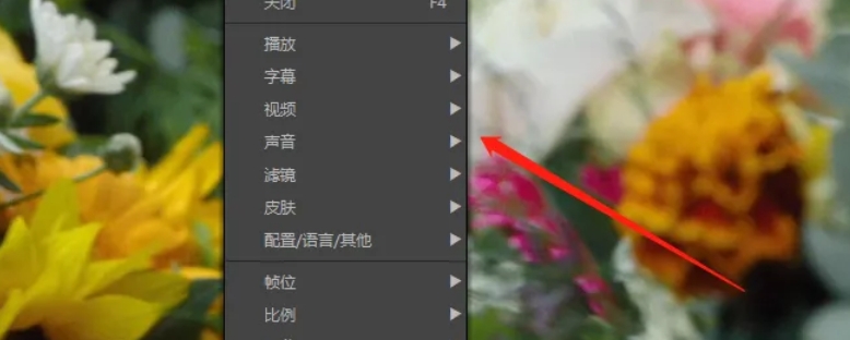potplayer,potplayer最新下载