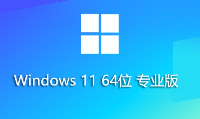 Windows 11 64 位专业优化版