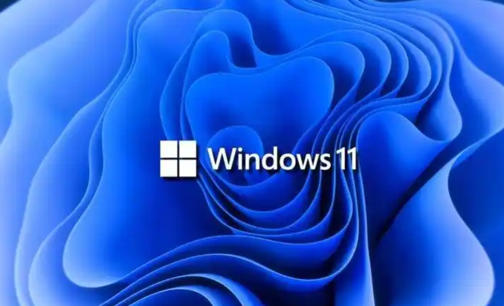 Windows 11 64 位专业优化版