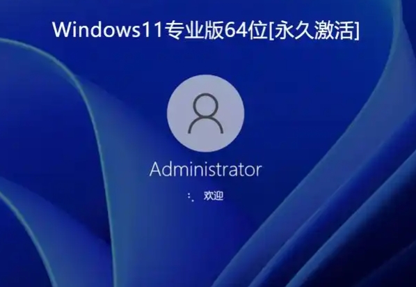 Windows 11 64 位专业优化版