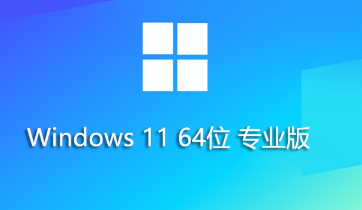 Windows 11 专业优化版 64位