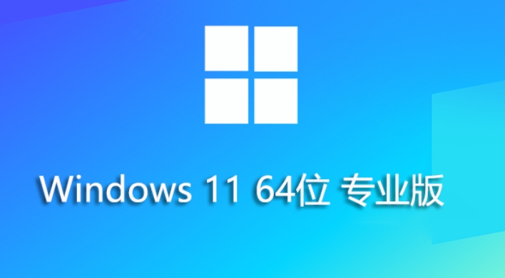 Windows 11 64位专业优化版