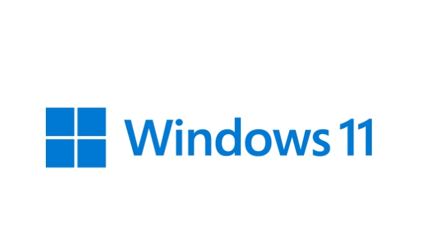 Windows 11 64位专业优化版