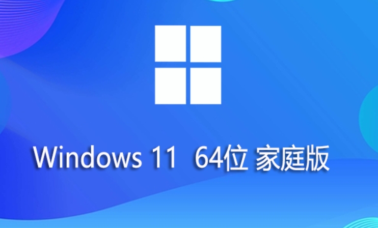 Windows 11 64 位家庭版