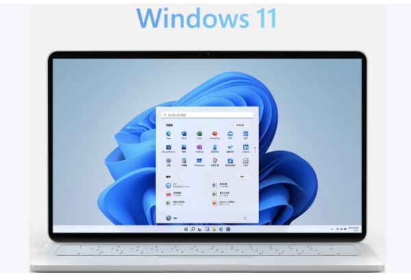 Windows 11 64 位家庭版
