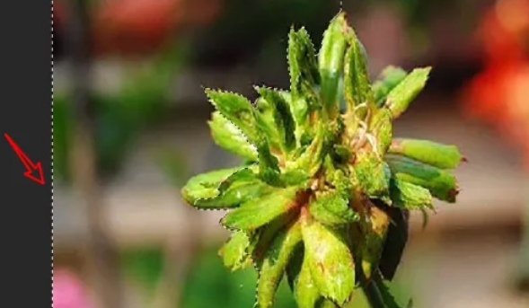 photoshop,photoshop最新下载