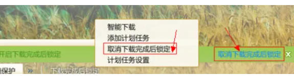 迅雷7,迅雷7下载