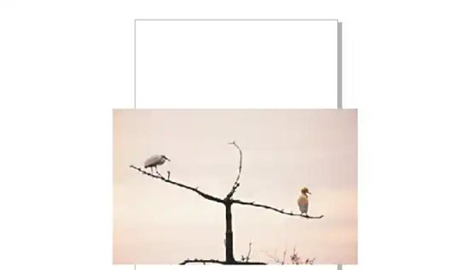 coreldraw,coreldraw下载