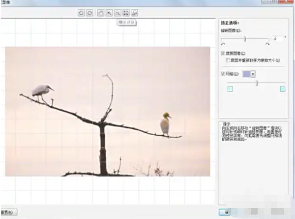 coreldraw,coreldraw下载