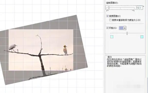 coreldraw,coreldraw下载