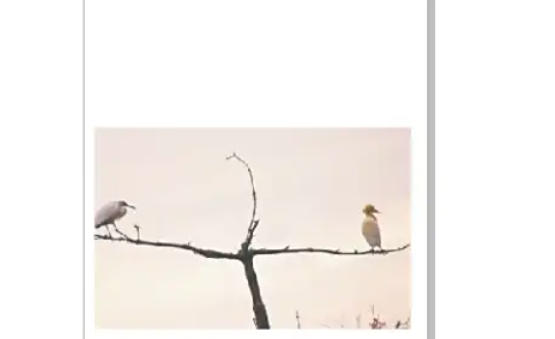 coreldraw,coreldraw下载