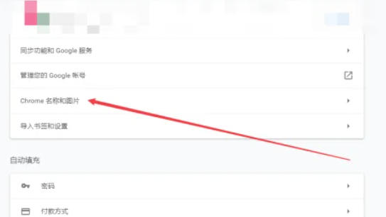 谷歌浏览器,谷歌浏览器下载