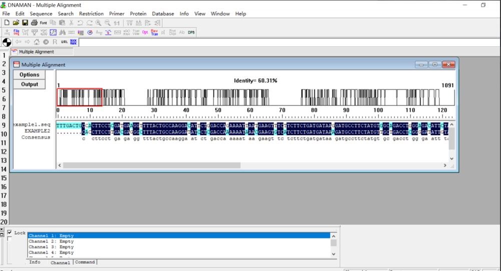 如何用DNAMAN 对比核酸序列