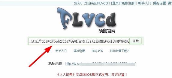 硕鼠FLV视频下载器截图