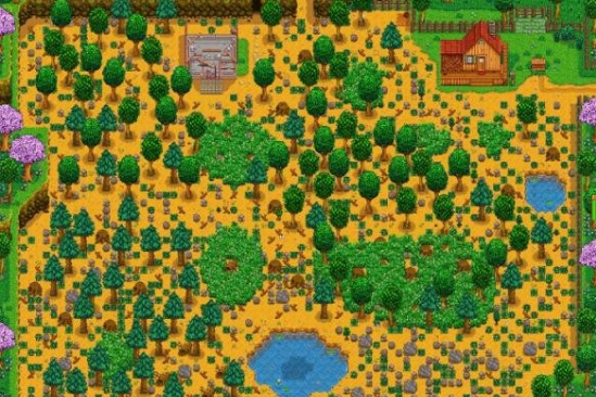 星露谷物语农场类型