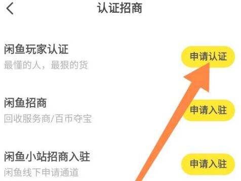 闲鱼如何进行闲鱼玩家认证?