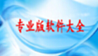 专业版软件大全