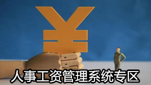 人事工资管理系统专区