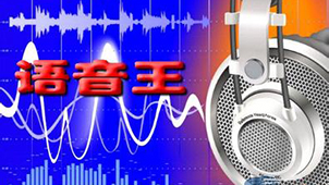 语音王软件下载专区