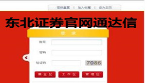 东北证券通达信大全
