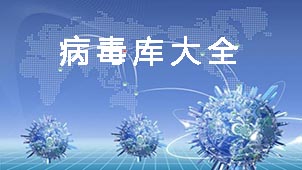 最新网络病毒大全