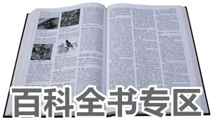 百科全书专区