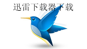 迅雷下载器下载