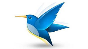 迅雷网页版大全