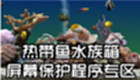 热带鱼水族箱屏幕保护程序专区