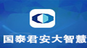 国泰君安大智慧专题
