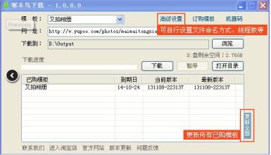 啄木鸟图片大全
