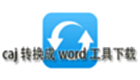 caj转换成word工具下载