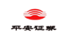 平安证券大全