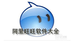 阿里旺旺软件大全