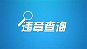 汽车违规查询专区