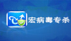 宏病毒专题