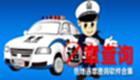 全国违章查询大全