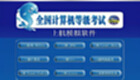 计算机模拟考试系统专题