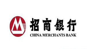 招商银行个人专业版专题