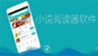 小说阅读器大全