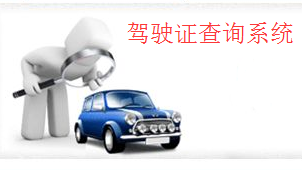 驾驶证查询系统大全