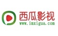西瓜影音播放器段首LOGO