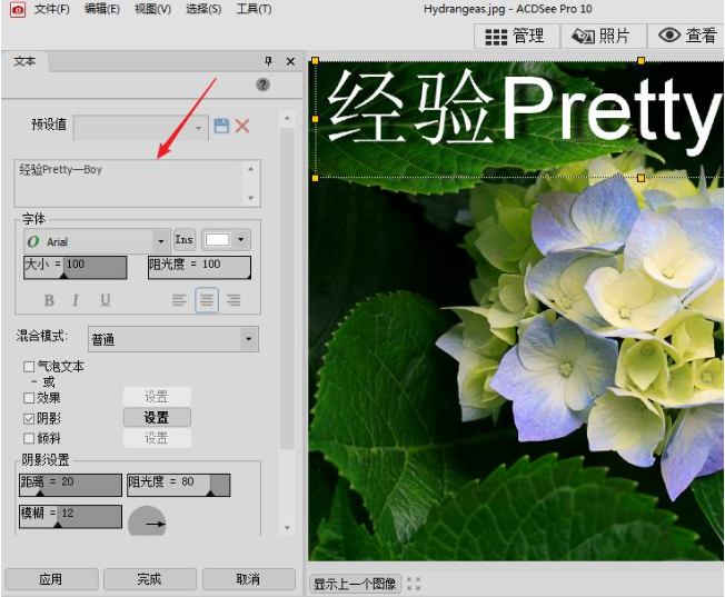 ACDSee电脑版下载安装 ACDSee电脑版下载安装