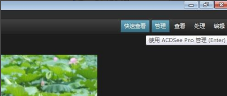 ACDSee下载安装 ACDSee下载安装