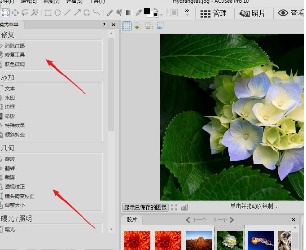 ACDSee电脑版下载 ACDSee电脑版下载