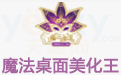 魔法桌面美化王段首LOGO