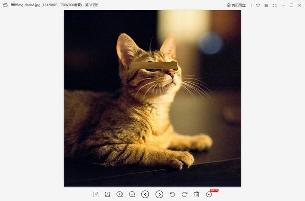 WPS图片电脑版下载